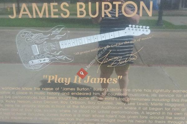 James Burton Statue