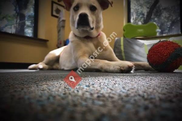 Just Like Home Pet Hotel