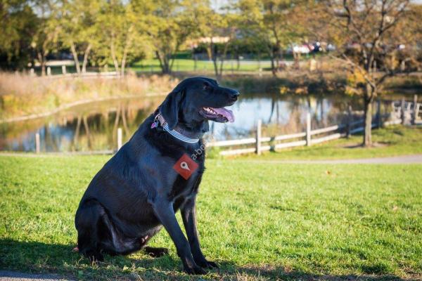 K-9 Dog Park