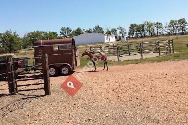 Killdeer Vet Clinic