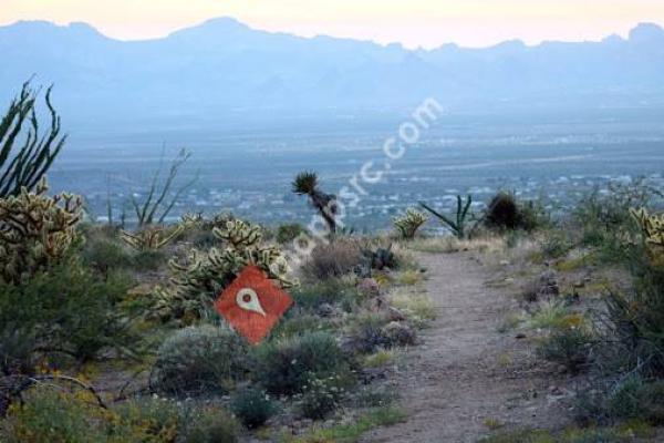 Kingman Visitor Center