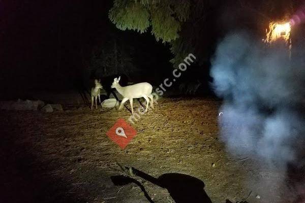 Knebal Springs Trailhead