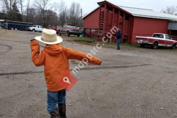 Knightstown Sale Barn