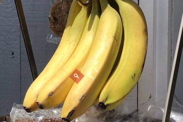 La Bella Bean Expresso