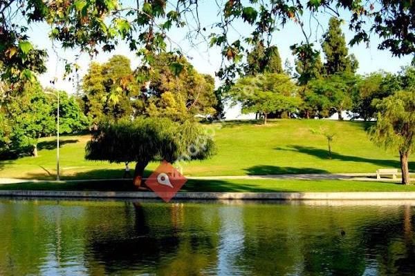 La Mirada Lake - Catfish