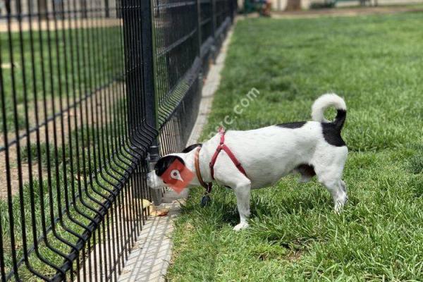 La Palma Dog Park