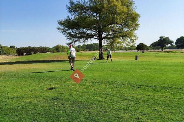 Lake Arlington Golf Course