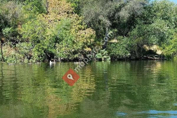 Lake Solano County Park