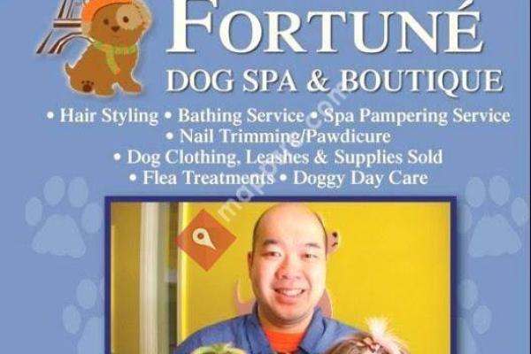 Le Chien Fortune Dog Grooming Spa