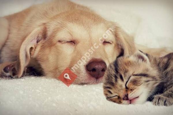 Liberty Animal Clinic