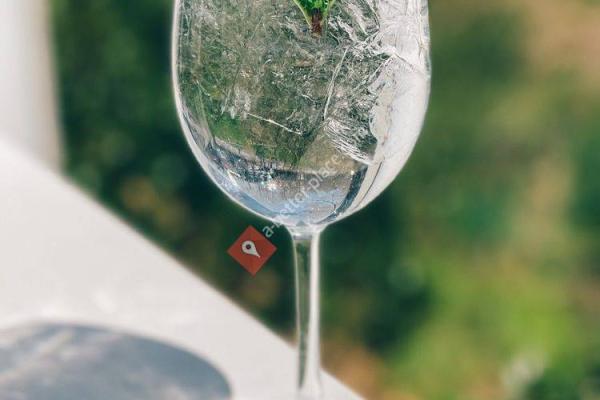 Lingering Shade Social Club