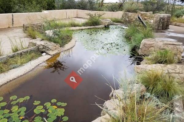 Living Desert State Park