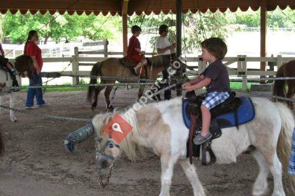 Lockwood Park Trailside Equestrian Centre