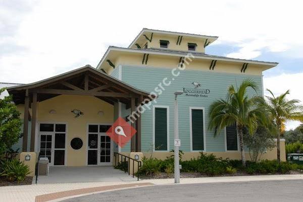 Loggerhead Marinelife Center