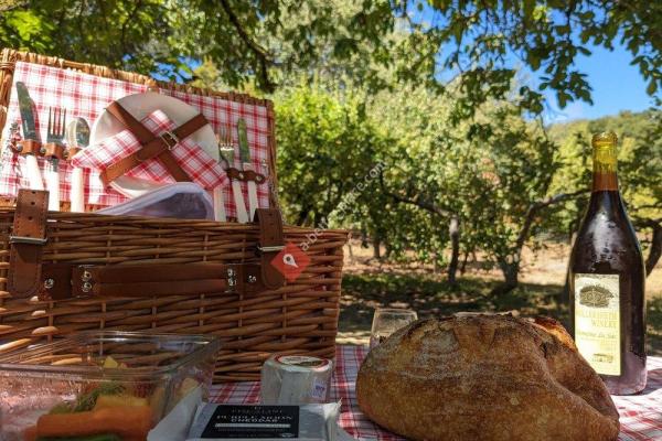 Luther Burbank's Gold Ridge Experiment Farm