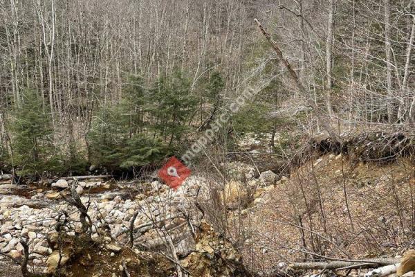 Lye Brook Falls Trail