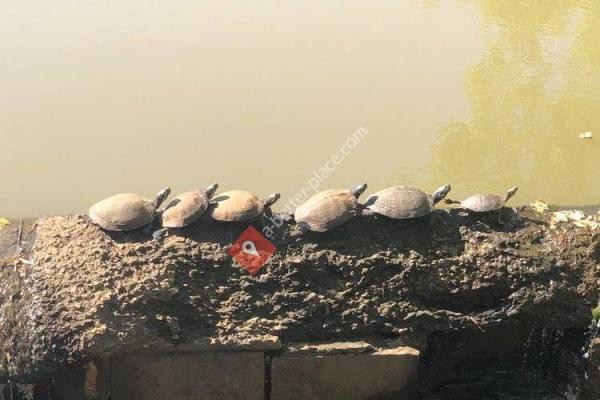 Manhasset Valley Park