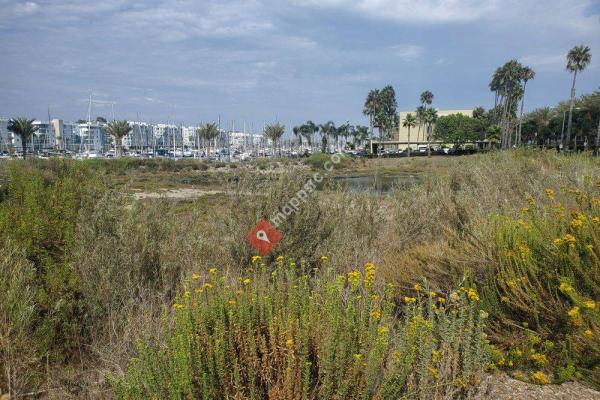 Marina del Rey Wetland Park