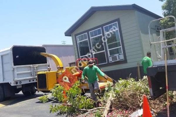 Marineland Mobile Homes