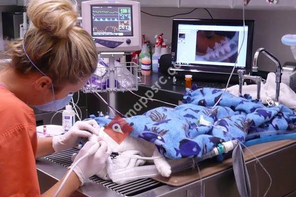 Marschall Road Animal Hospital