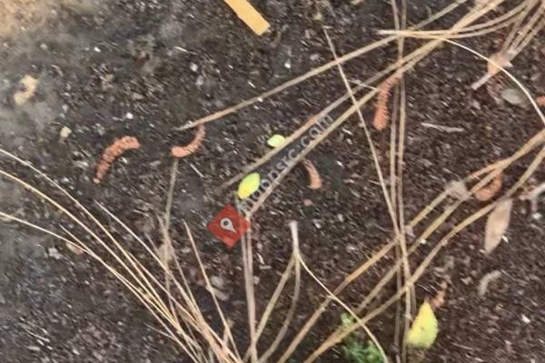 Martin Luther King Jr park