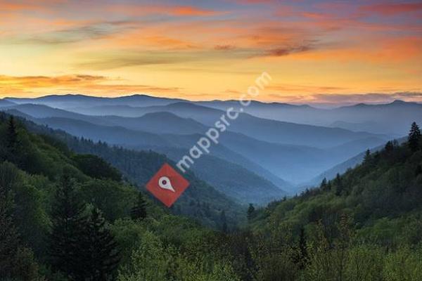 Marty Loveday & Associates Real Estate & Auction