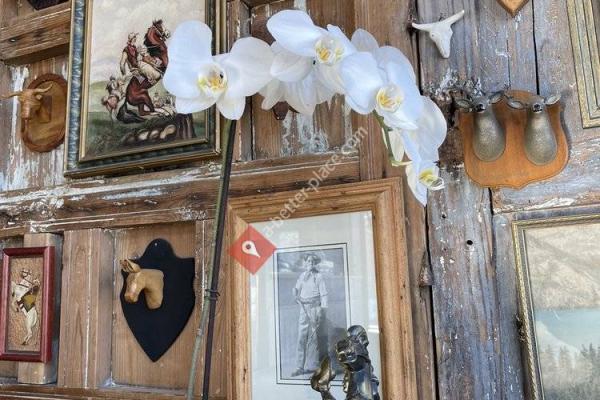 Maude's Coffee & Clothes