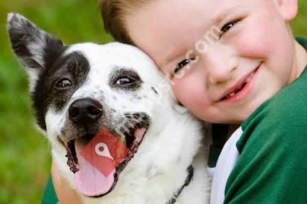 Meadow Brook Animal Clinic