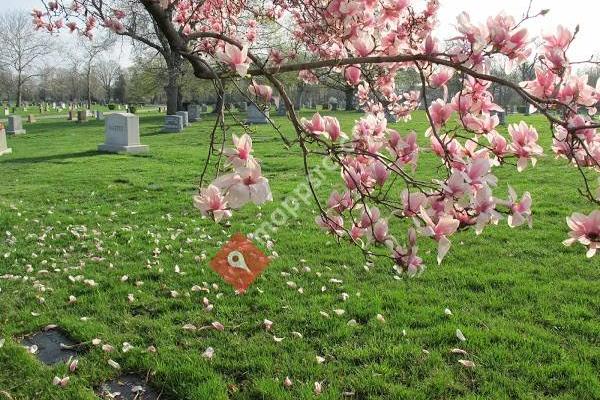 Memorial Park Cemetery