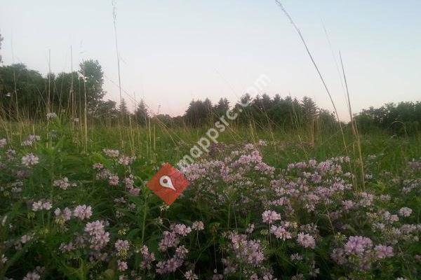 Metro Parks Serving Summit