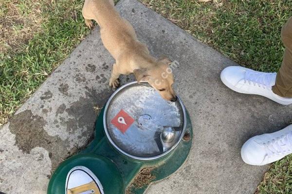 Miami Springs Dog Park