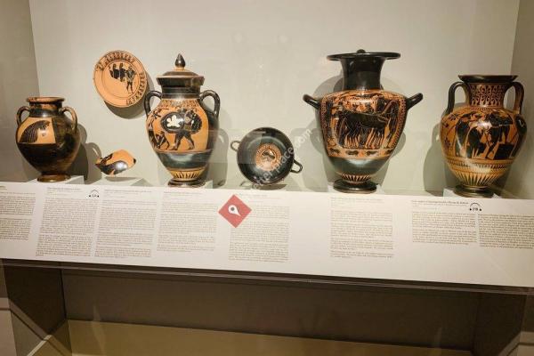 Michael C Carlos Museum of Emory University