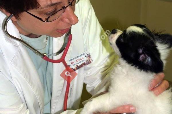 Michigan Humane Society Veterinary Center