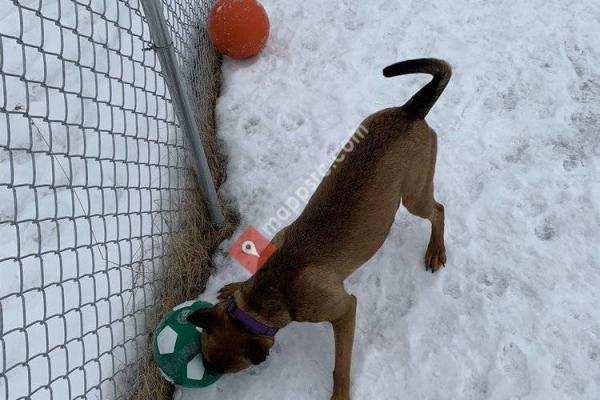 Middlebury Dog Park