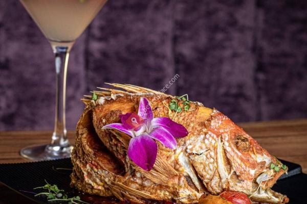 Modish Restaurant & Bar