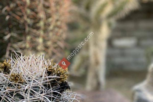 Moorten Botanical Garden