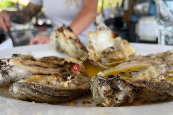 Morgan Mae’s Oyster House