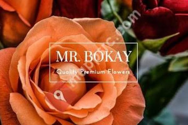 Mr. Bokay