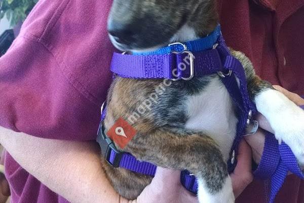 Muscatine Humane Society