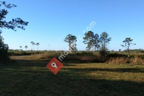 Myakka River State Park Horse Camp