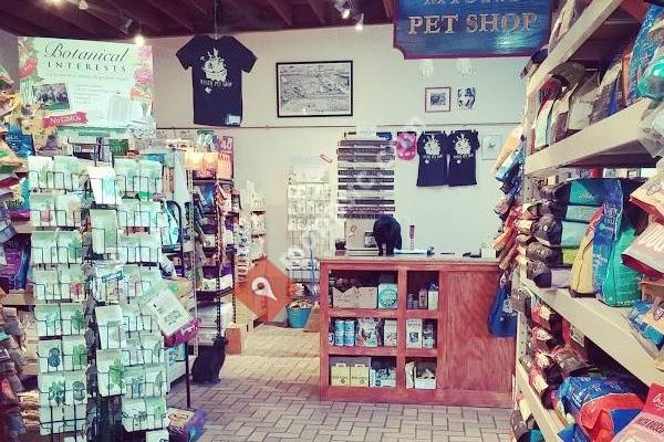 Mystic Pet Shop