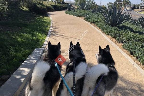 Newport Beach Dog Park