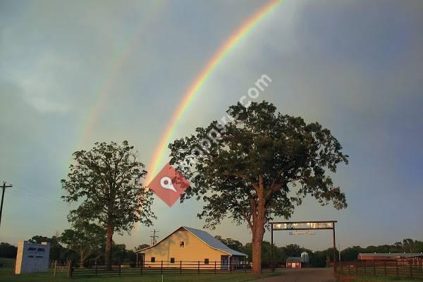 North Creek Animal Hospital