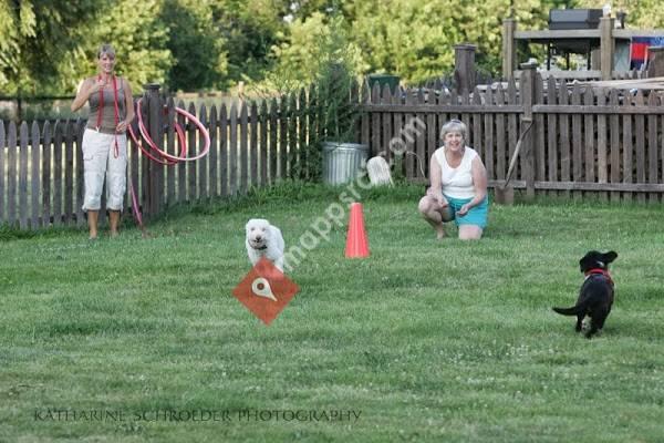 North Fork School for Dogs