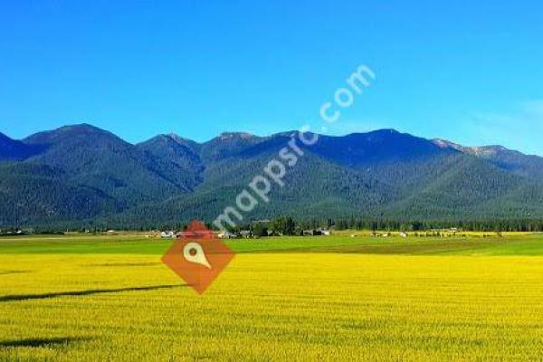 Northwest Center for Dentistry