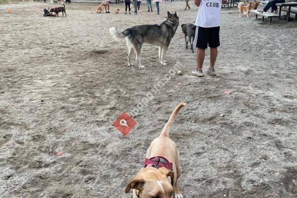 Nunziato Field Dog Park