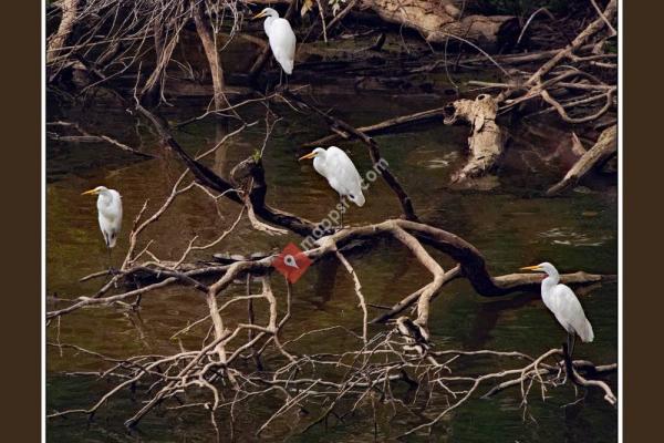 O'Shaughnessy Nature Preserve