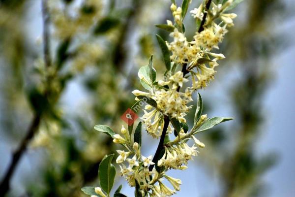 Occoquan Bay National Wildlife Refuge