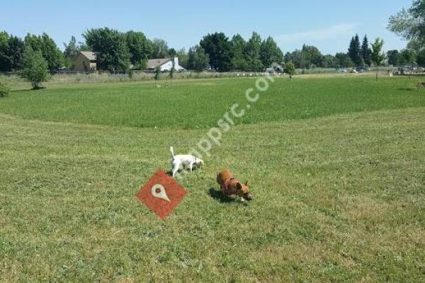 Off the Leash Dog Park