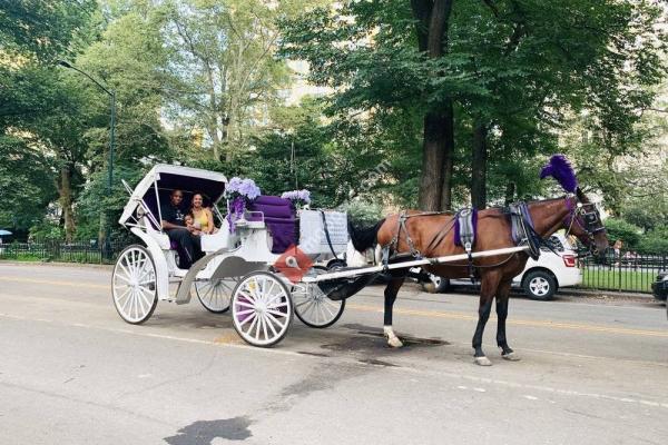 Official Central Park Horse & Carriage Rides